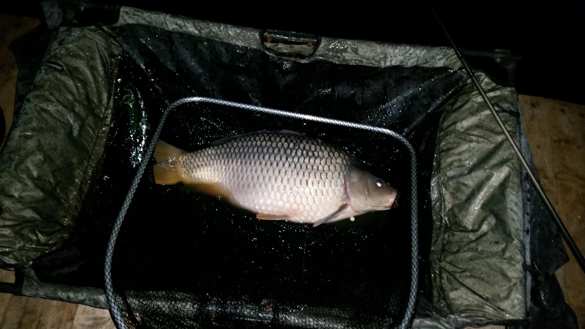 Moara Vlasiei 2 16 - 18 martie 2016 - 20160316231156.jpg